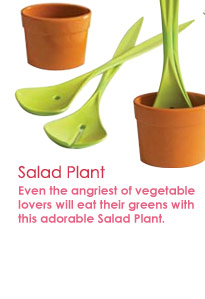 Even the angriest of vegetable lovers will eat their greens with this adorable Salad Plant.